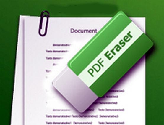 PDF-Eraser-Pro-Portable-Direct-Link-Download_1