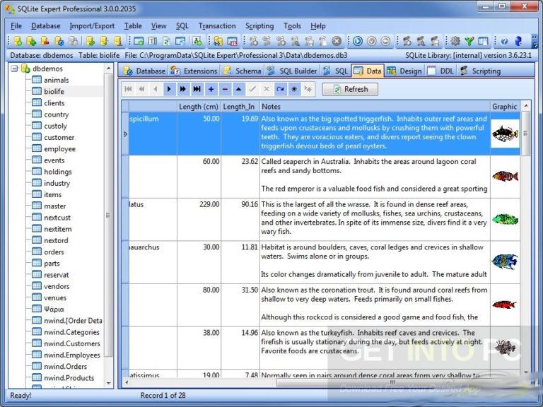 SQLite-Expert-Professional-Edition-Direct-Link-Download-768x576_1