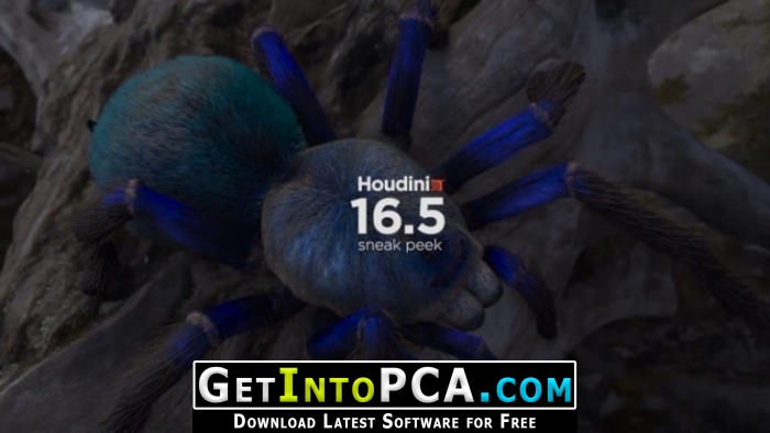 Houdini 16.5 Free Download