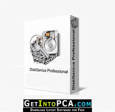 DiskGenius Professional + Portable Free Download