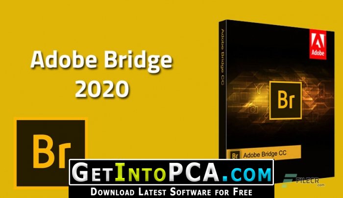 Adobe Bridge CC 2020 10.0.1.126 Free Download